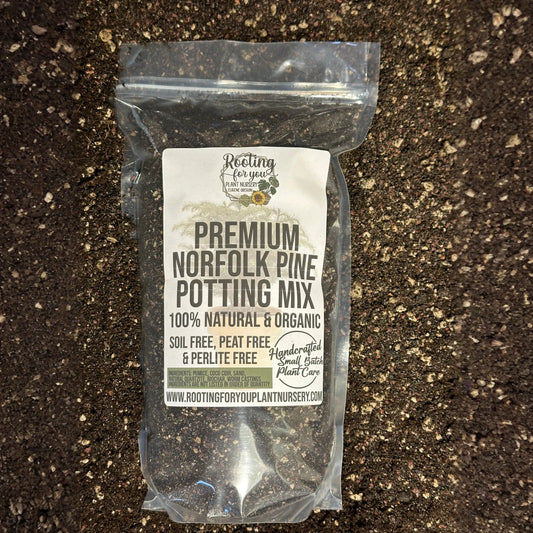 Norfolk Pine Premium Potting Mix