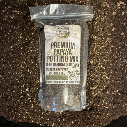 Papaya Premium Potting Mix