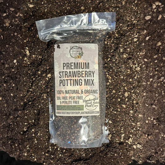 Strawberry Premium Potting Mix