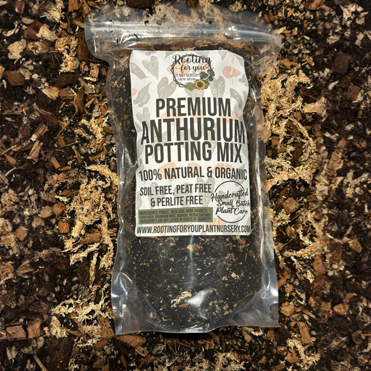 ANTHURIUM Premium Potting Mix