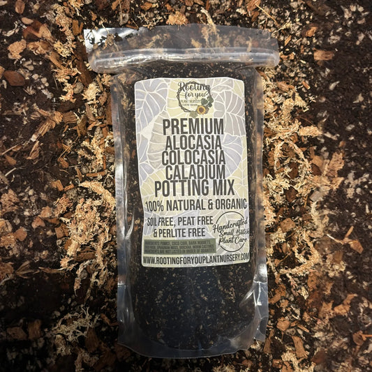 Alocasia - Colocasia - Caladium Premium Potting Mix