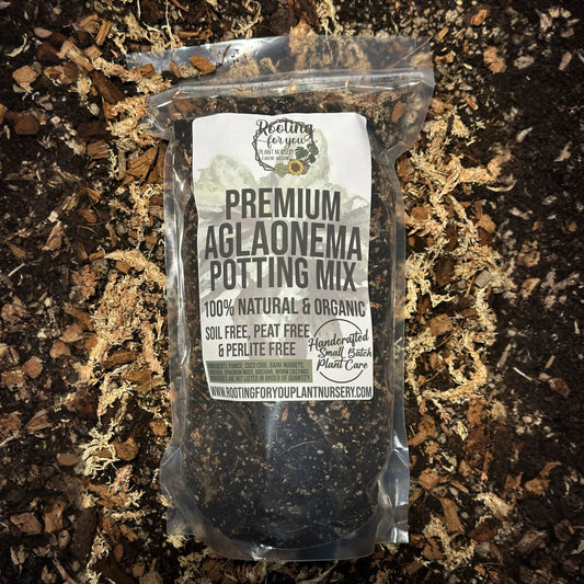 Aglaonema Premium Potting Mix