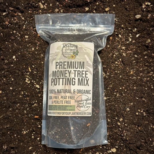 Money Tree Premium Potting Mix