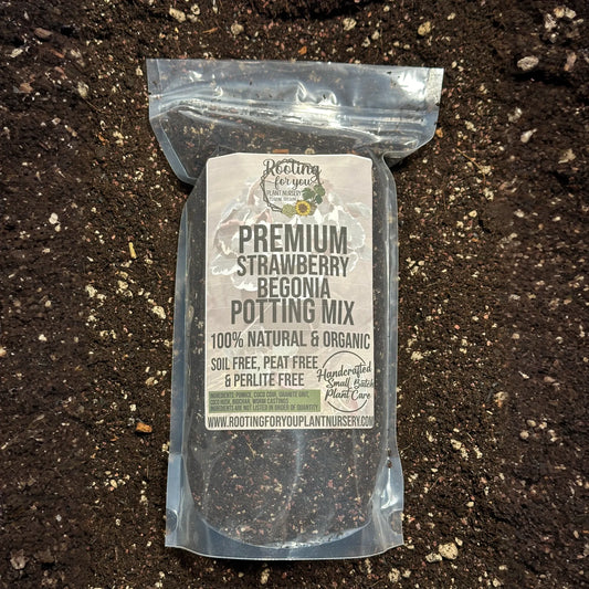 Strawberry Begonia Premium Potting Mix