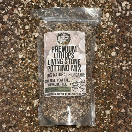 Lithops Living Stone Premium Potting Mix