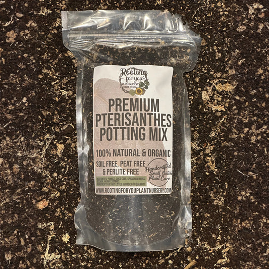 Pterisanthes Premium Potting Mix
