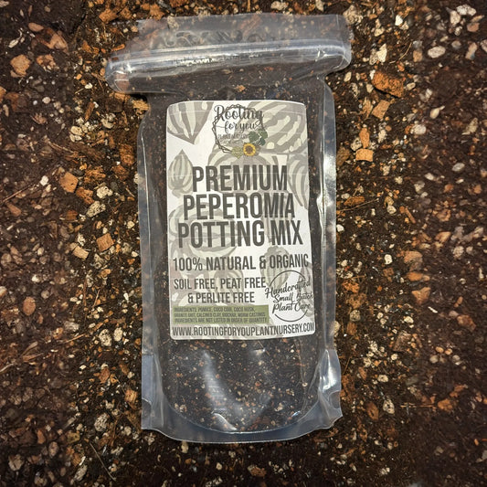 PEPEROMIA Premium Potting Mix