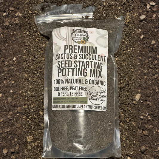 Cactus and Succulent SEED STARTING Premium Potting Mix
