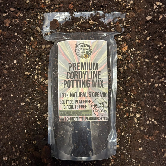Cordyline Premium Potting Mix