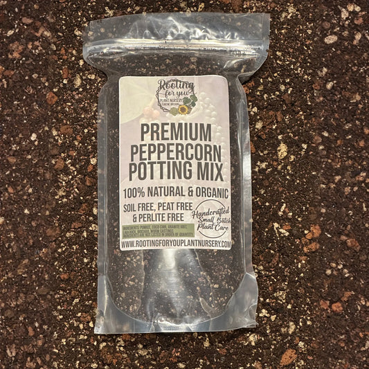 Peppercorn Plant Premium Potting Mix