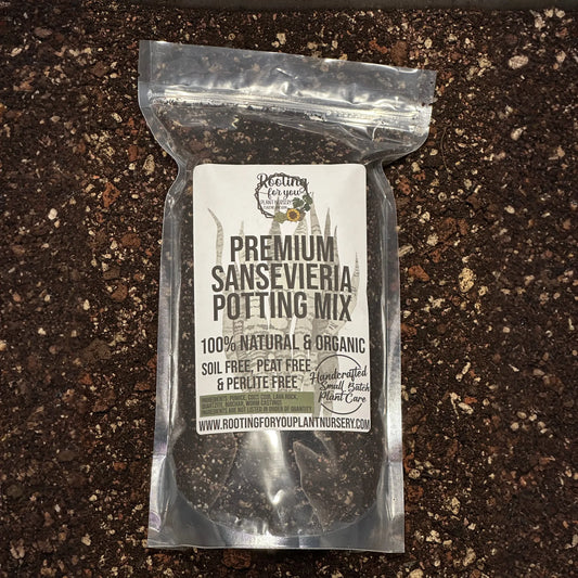 SANSEVIERIA Snake Plant Premium Potting Mix