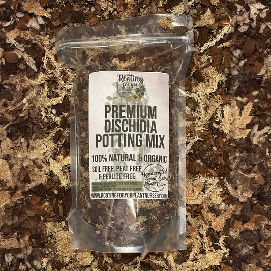 DISCHIDIA Premium Potting Mix