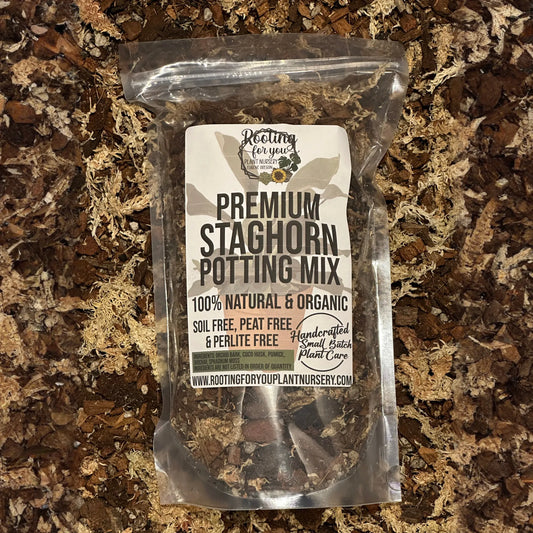 Staghorn Fern Premium Potting Mix