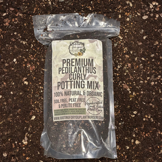 Pedilanthus Curly Premium Potting Mix