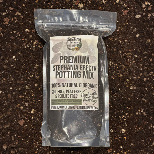 Stephania Erecta Premium Potting Mix
