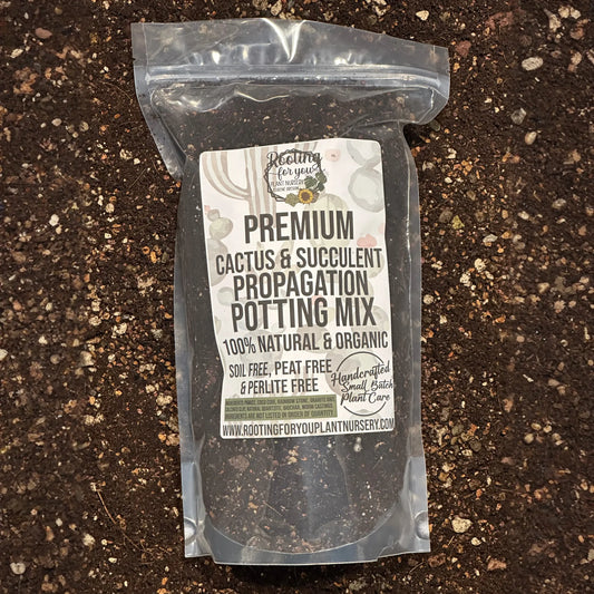 CACTUS & SUCCULENT Propagation Premium Potting Mix