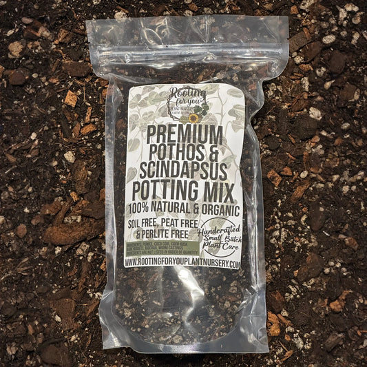 Pothos & Scindapsus Premium Potting Mix