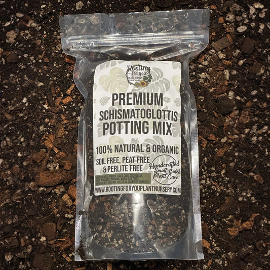 Schismatoglottis Premium Potting Mix