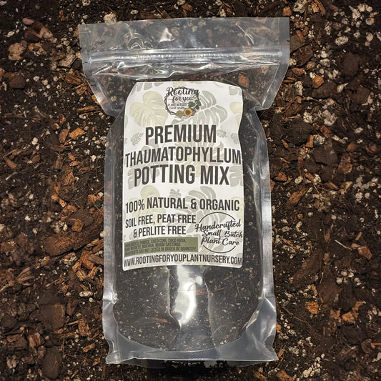 Thaumatophyllum Premium Potting Mix