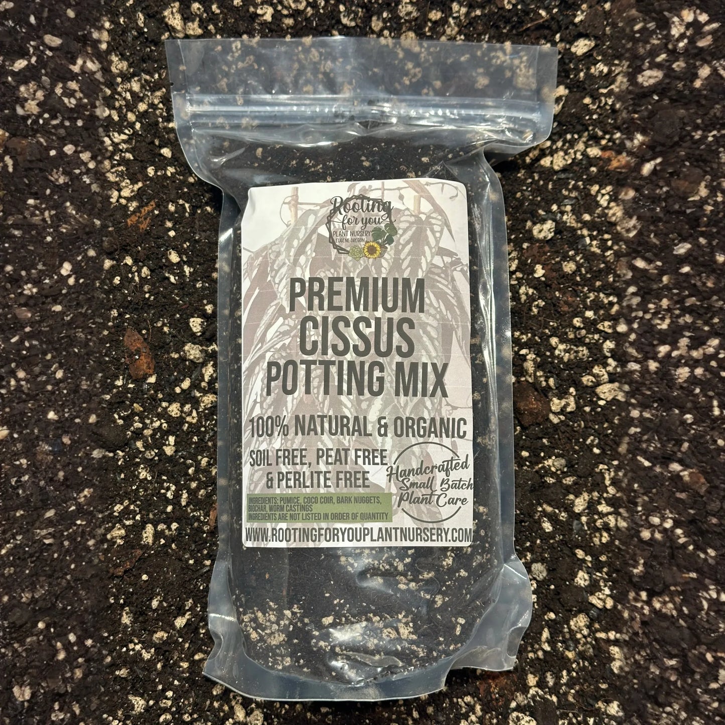 Cissus Premium Potting Mix