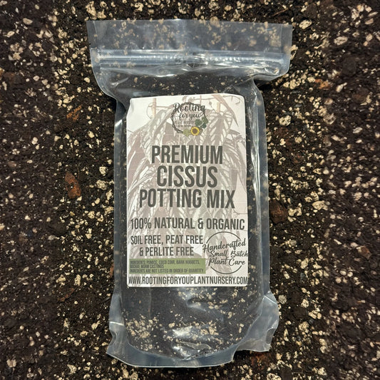 Cissus Premium Potting Mix