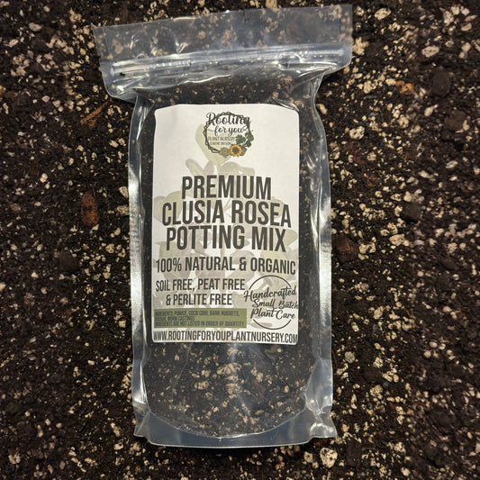 Clusia Rosea Premium Potting Mix