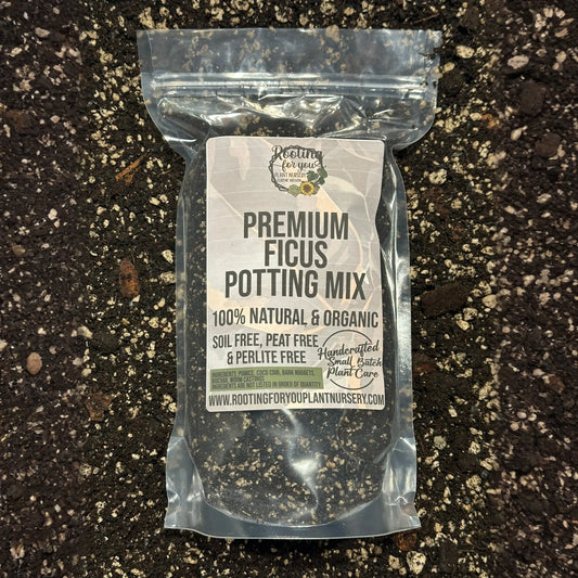 Ficus Premium Potting Mix