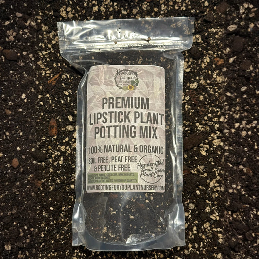 LIPSTICK PLANT Premium Potting Mix