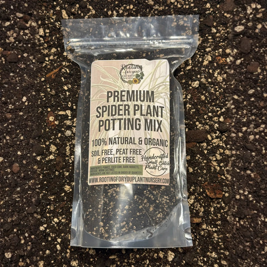 Spider Plant Premium Potting Mix