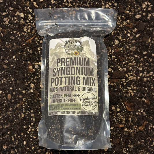 SYNGONIUM Premium Potting Mix
