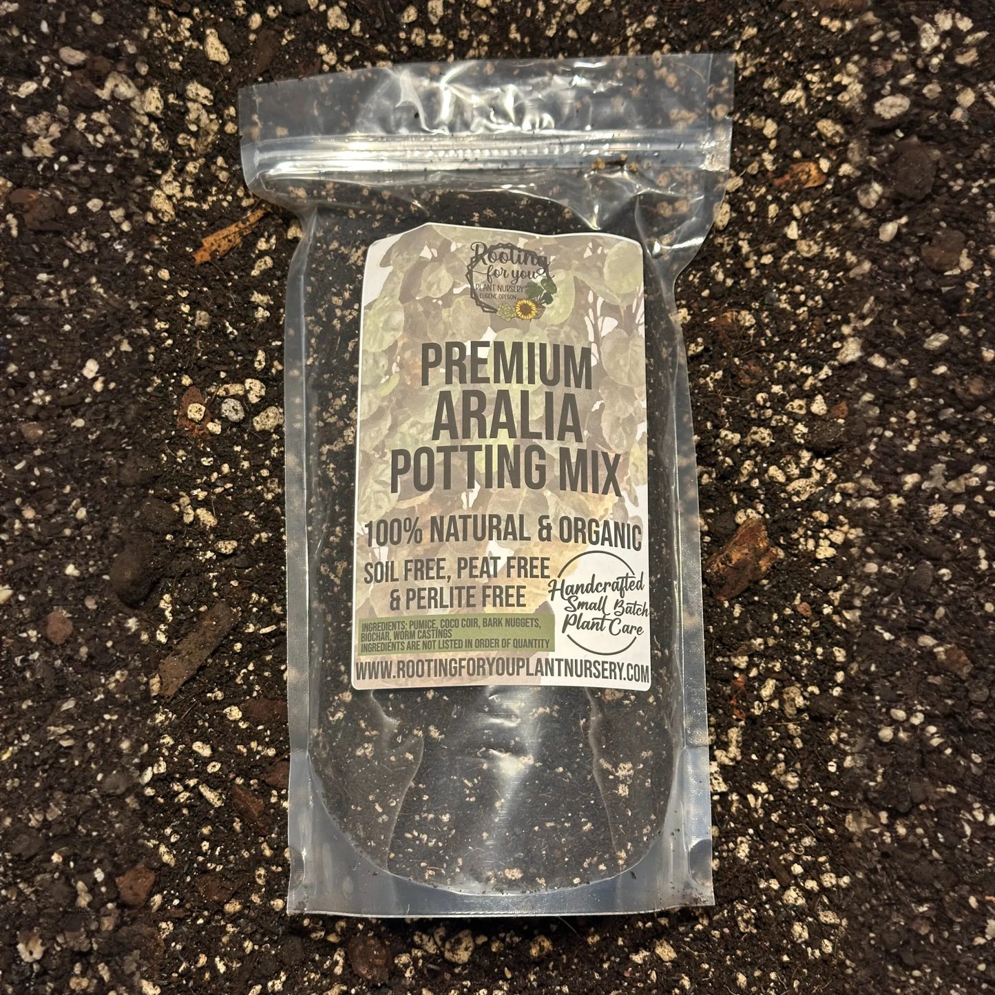 ARALIA - Aralia Fabian Stump - Ming Aralia - Fatsia Japonica Premium Potting Mix