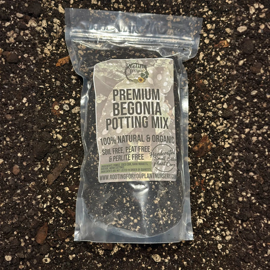 BEGONIA Premium Potting Mix