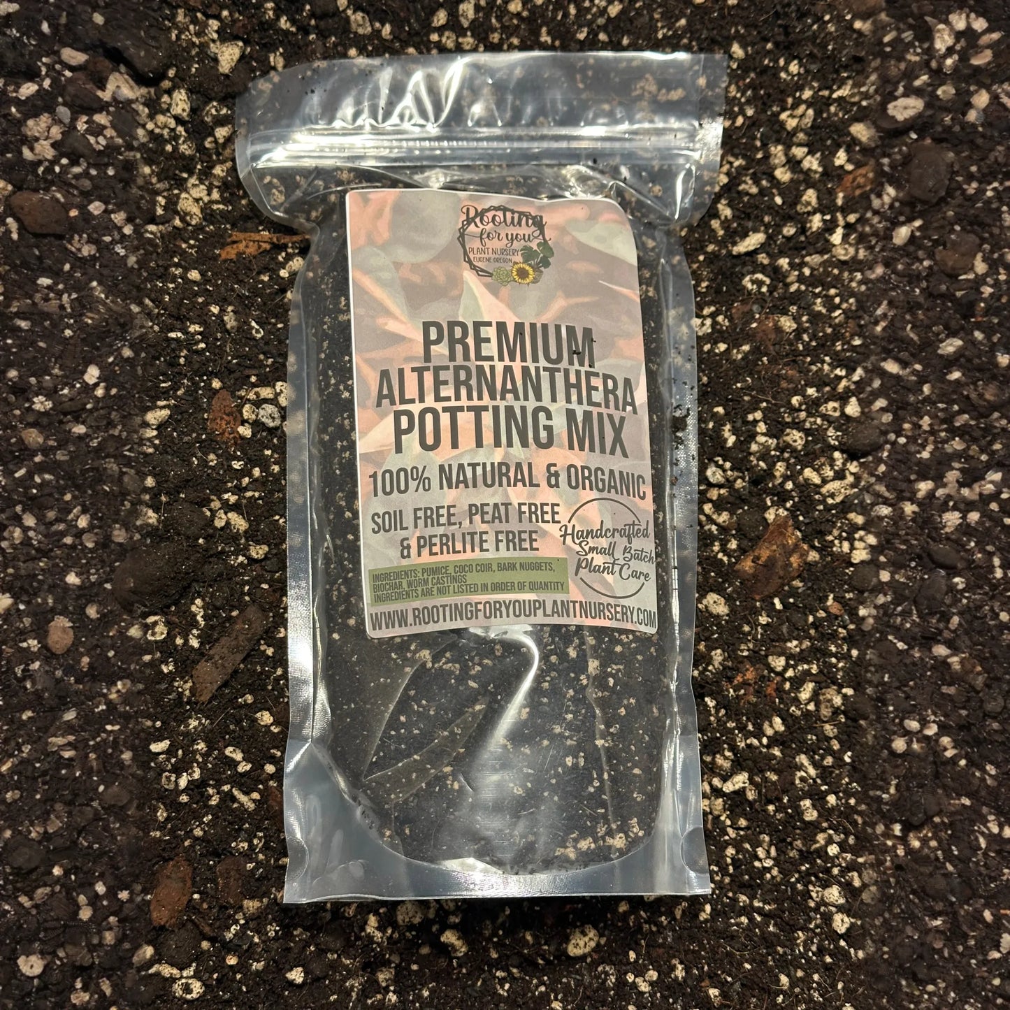 Party Time Alternanthera Premium Potting Mix