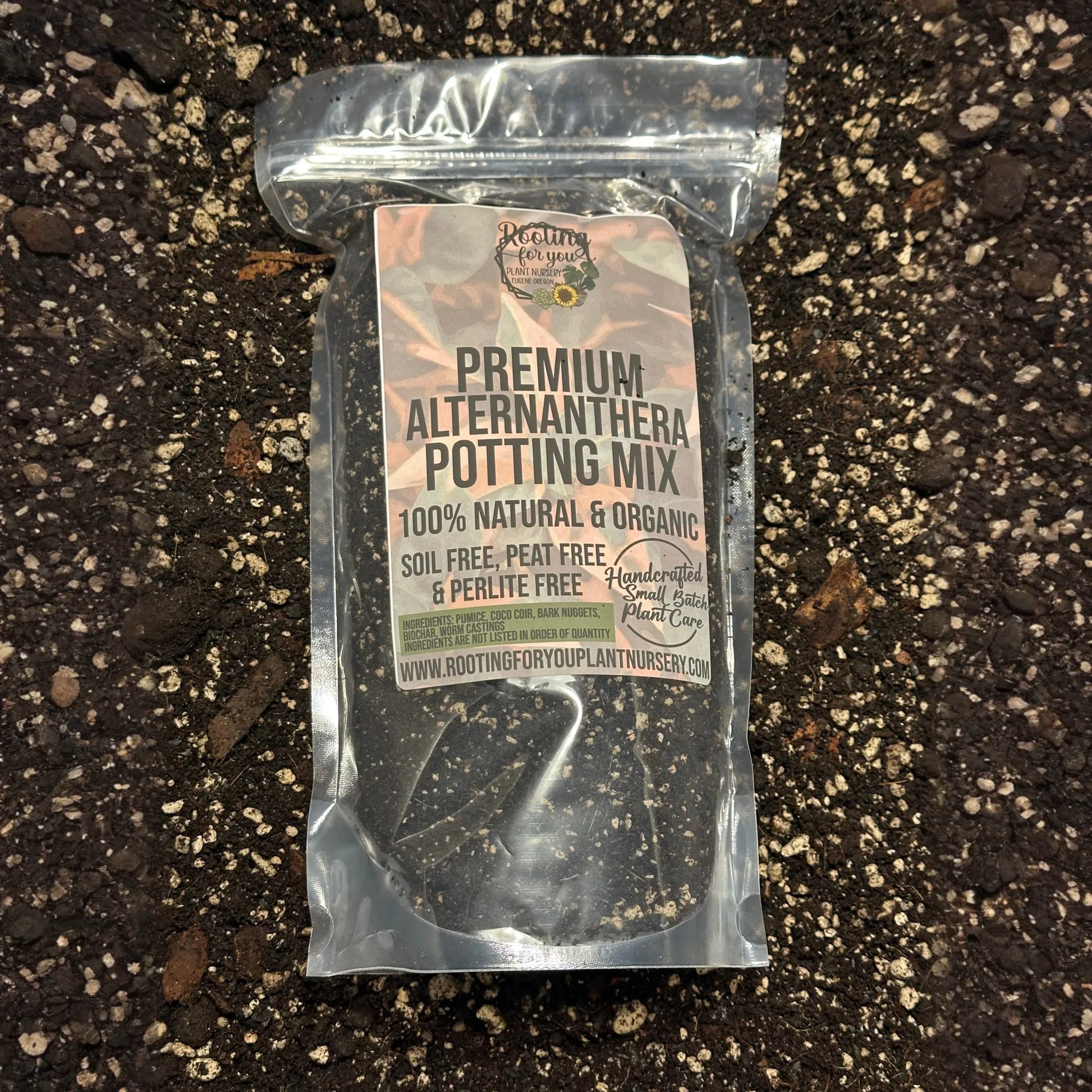 Party Time Alternanthera Premium Potting Mix