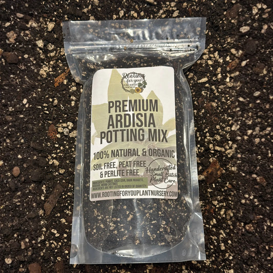Ardisia Premium Potting Mix