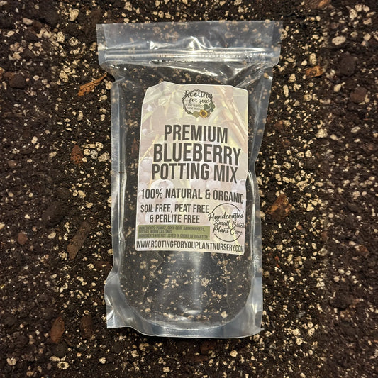 Blueberry Premium Potting Mix