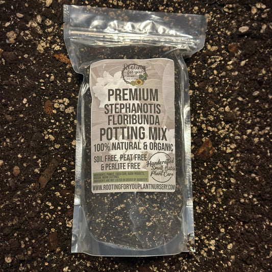 Stephanotis Floribunda Premium Potting Mix