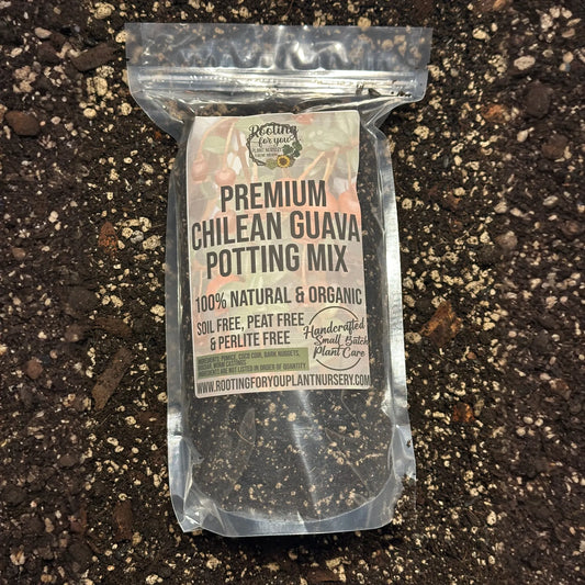 Chilean Guava Premium Potting Mix