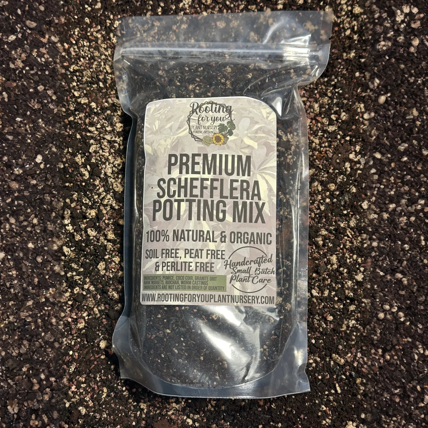 Schefflera Premium Potting Mix