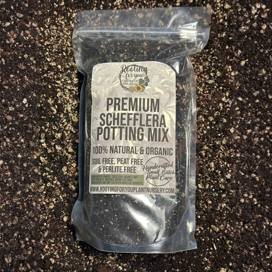 Schefflera Premium Potting Mix