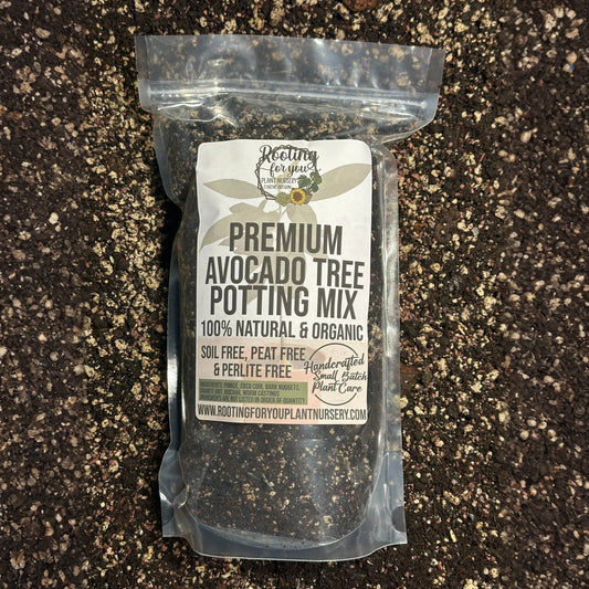 Avocado Tree Premium Potting Mix