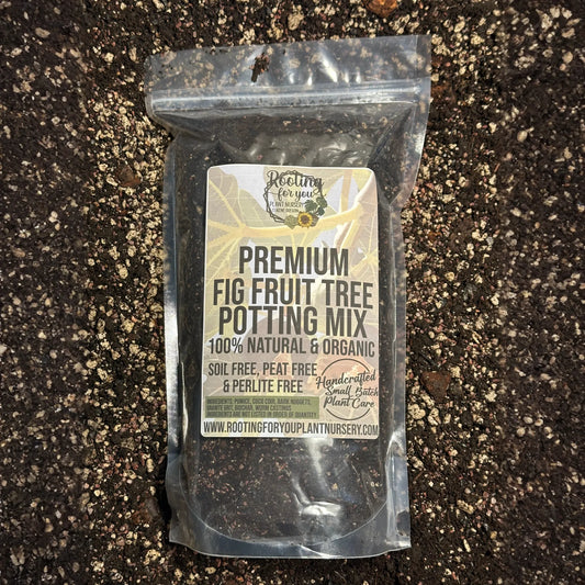 Fig Fruit Tree Premium Potting Mix