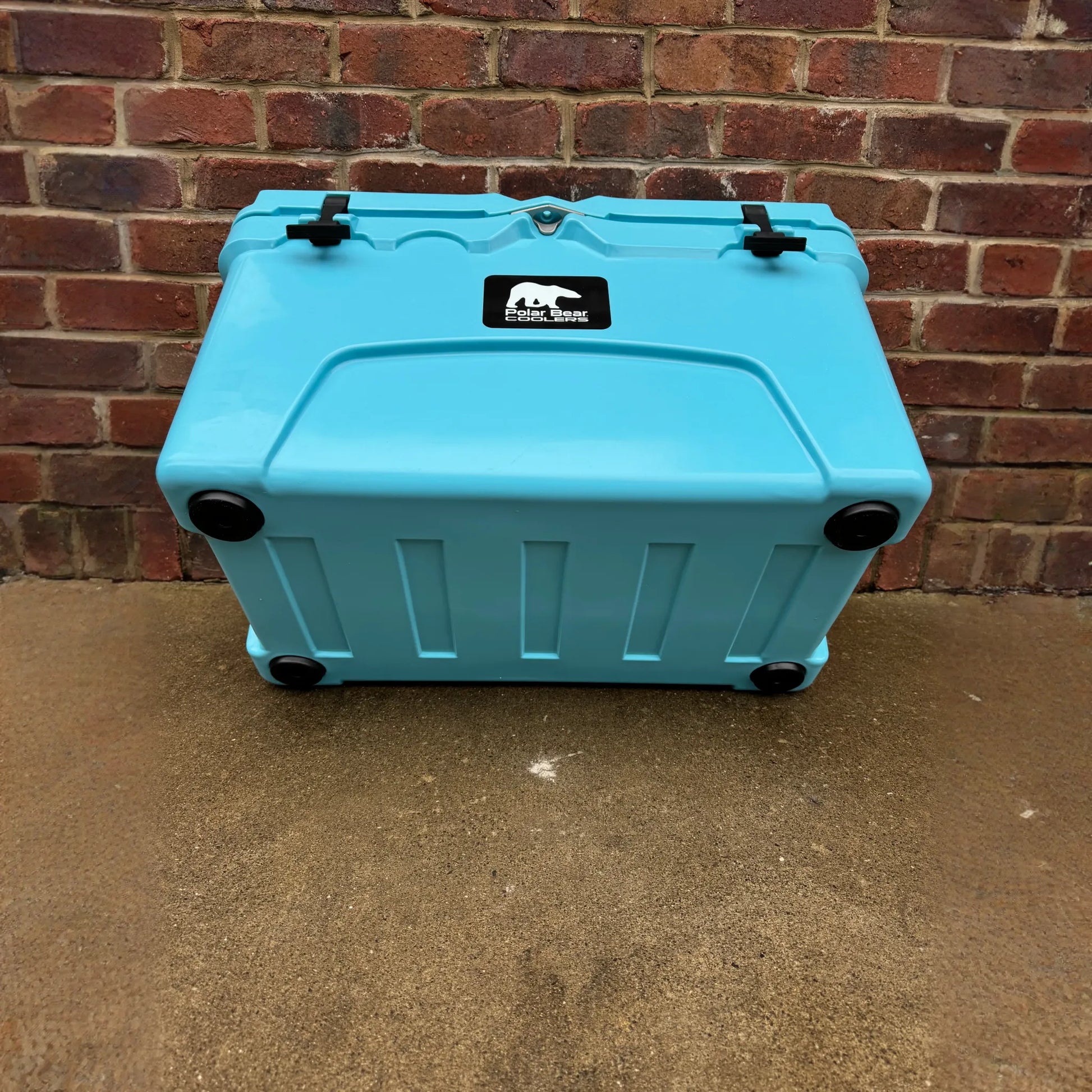 Polar Bear 45 Hard Coolers