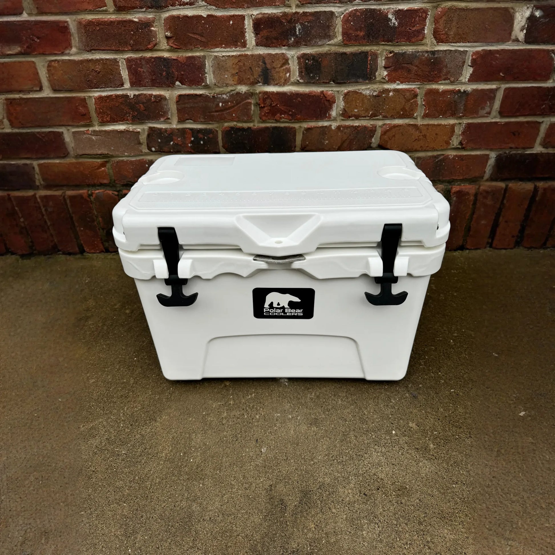 Polar Bear 20 Hard Cooler
