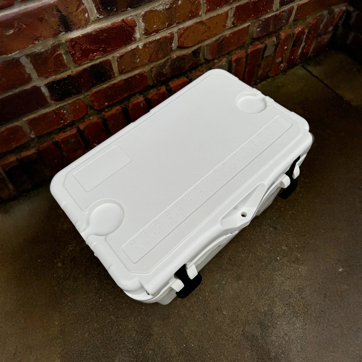 Polar Bear 20 Hard Cooler