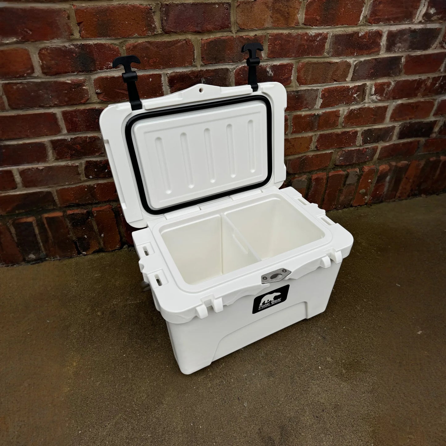 Polar Bear 20 Hard Cooler