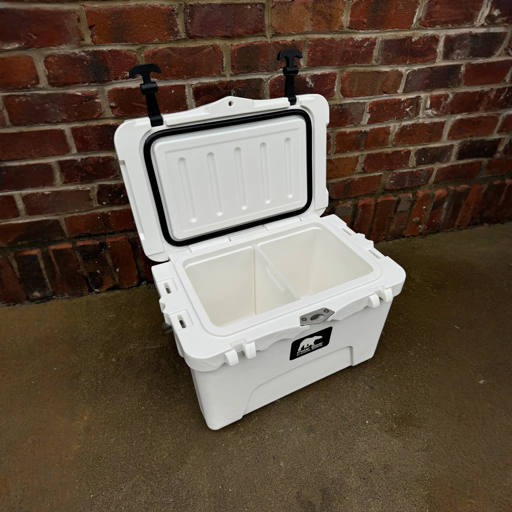 Polar Bear 20 Hard Cooler