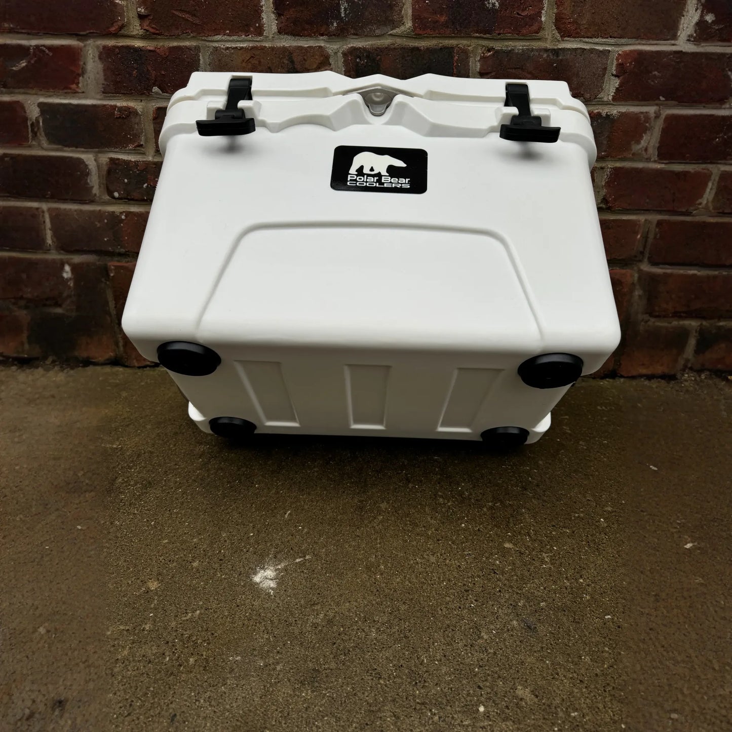 Polar Bear 20 Hard Cooler