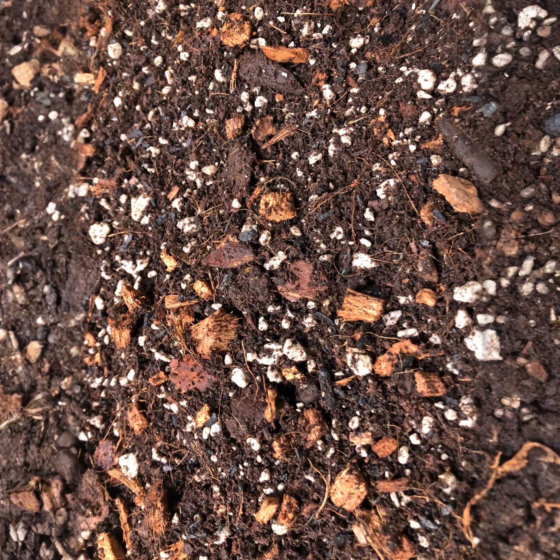 CALATHEA Premium Potting Mix