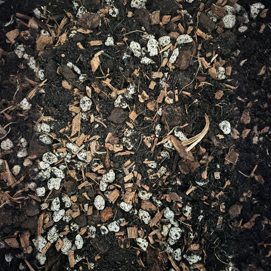 Premium Super Chunky Extra Grit Houseplant Soilless Potting Mix - Perfect for Overwaterers!